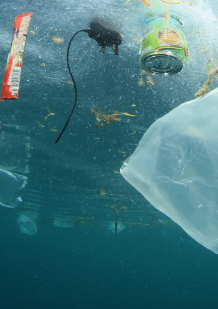 Plastiktüten und Müll im Ozean