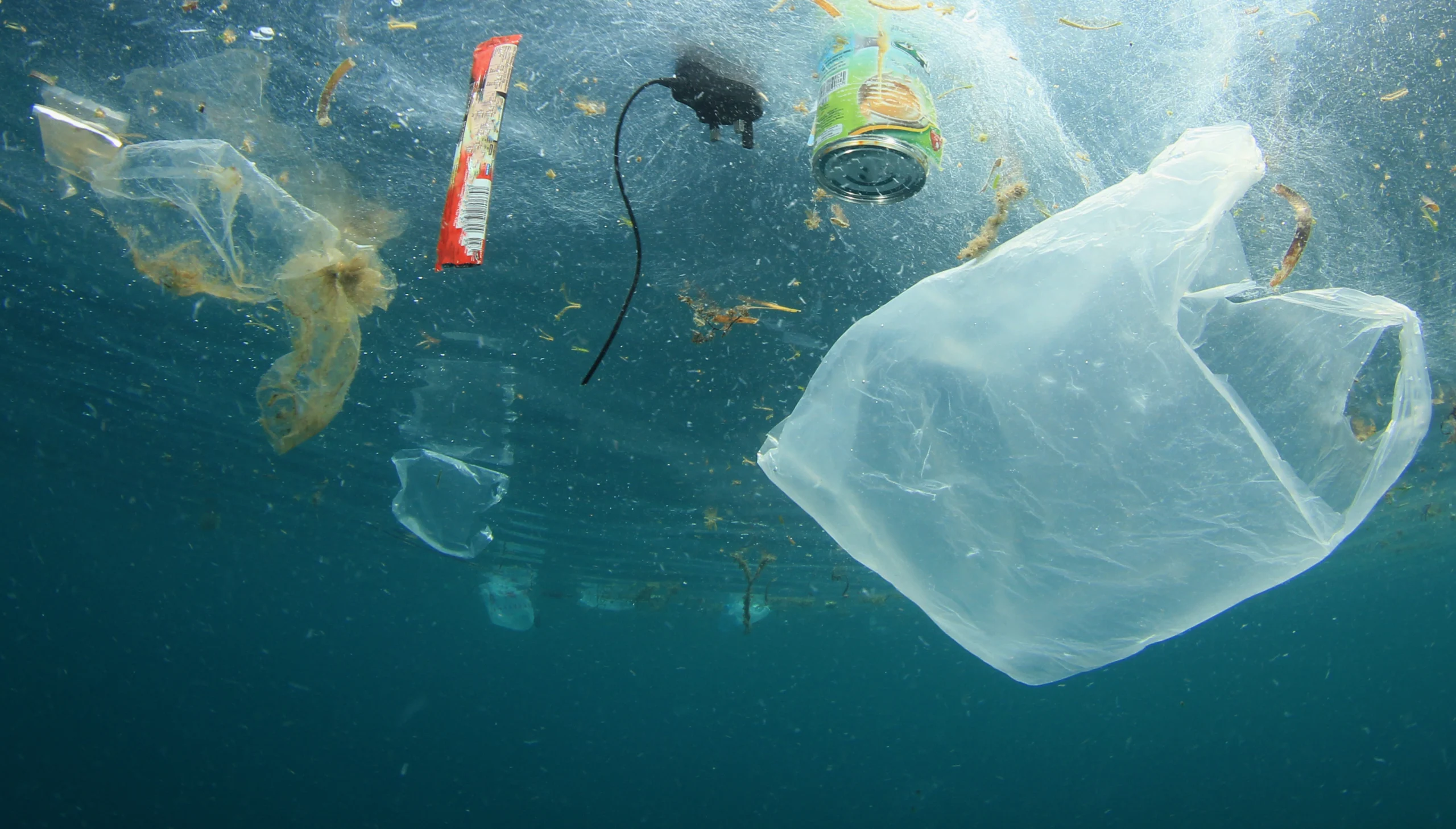 Plastiktüten und Müll im Ozean